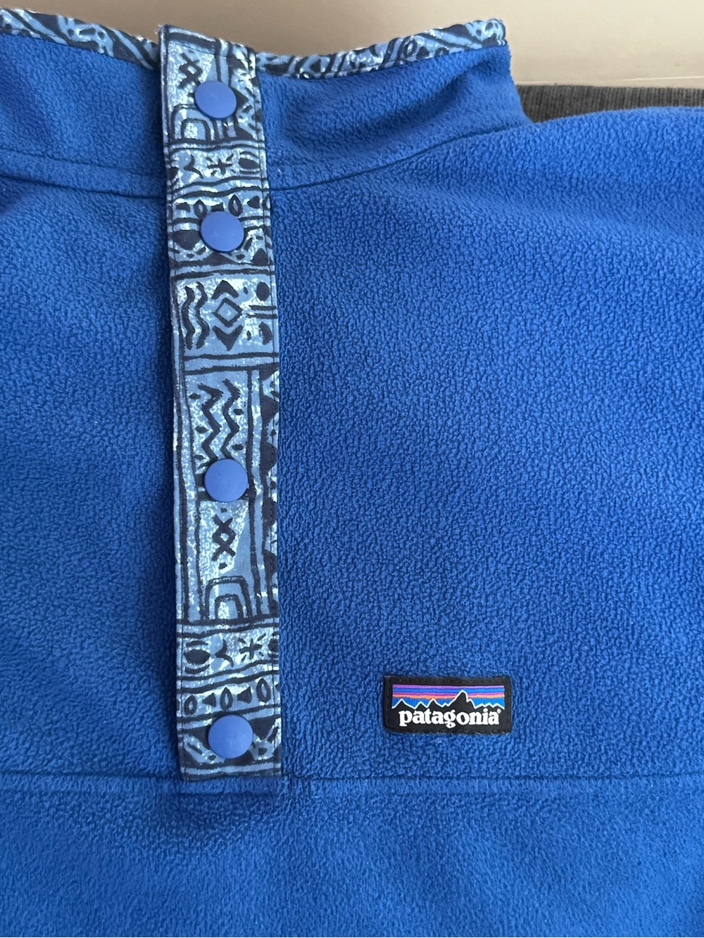 Patagonia Kids Blue Fleece Pullover with Patterned Snap Placket